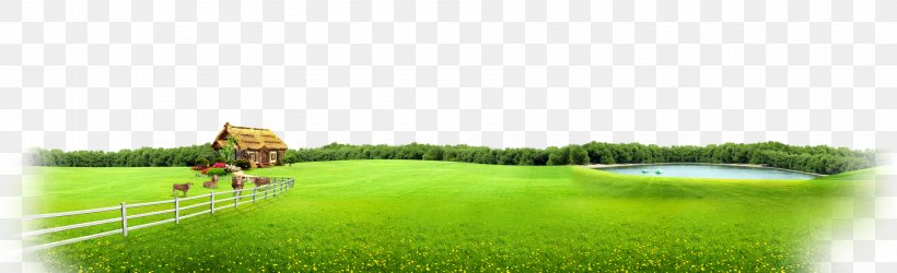 Agriculture Grassland Meadow Farm Pasture, PNG, 3606x1100px, Agriculture, Crop, Ecosystem, Farm, Field Download Free