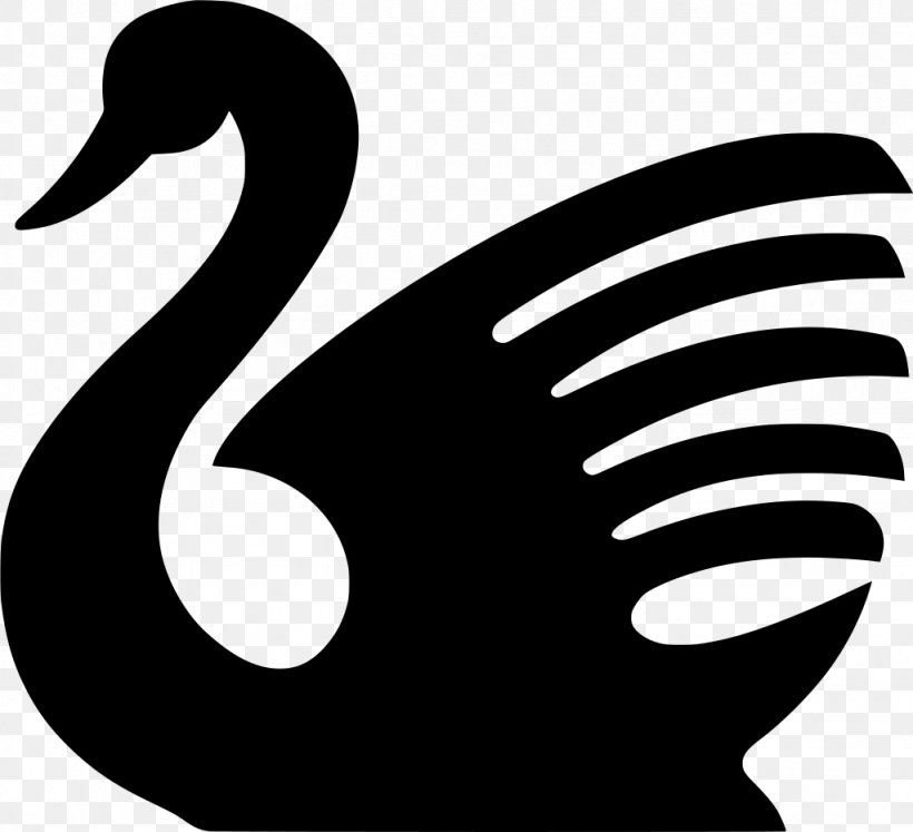 Bird Line Drawing, PNG, 1024x934px, Drawing, Beak, Bird, Black Swan, Blackandwhite Download Free