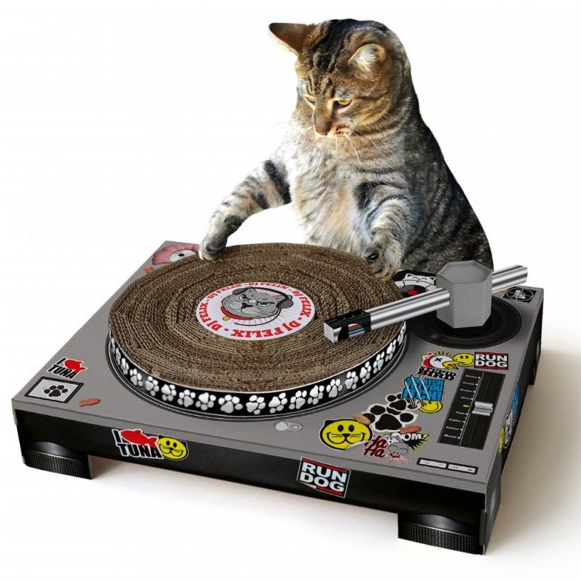 Cat Felidae Disc Jockey Scratching Pet, PNG, 1024x1024px, Watercolor, Cartoon, Flower, Frame, Heart Download Free