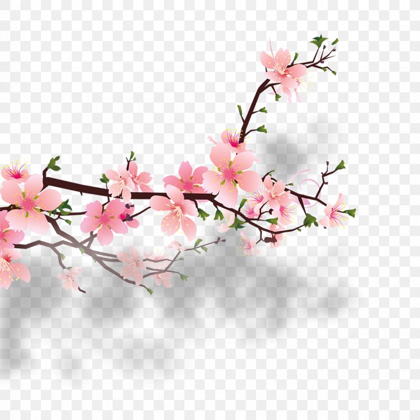 Cherry Blossom Peach Clip Art, PNG, 1181x1181px, Peach, Apricot, Artificial Flower, Blossom, Branch Download Free