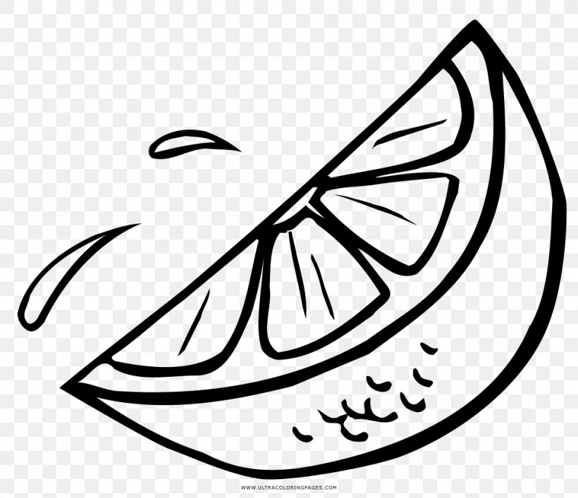 Drawing Photography Lemon, PNG, 1000x863px, Drawing, Anatomy, Area, Art, Artwork Download Free
