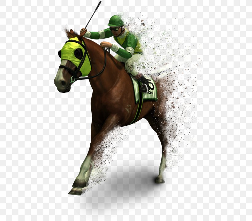 Jockey Thoroughbred Horse Racing Sports Betting, PNG, 500x719px, Jockey, Bridle, English Riding, Equestrian, Equestrian Sport Download Free