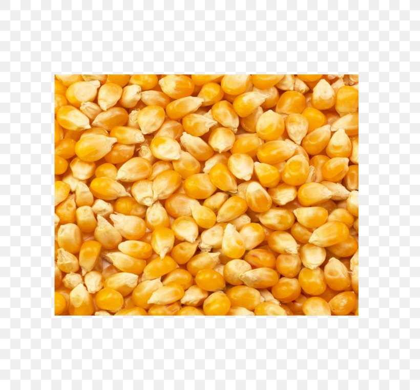 Sweet Corn Maize Popcorn Cereal Corn Kernel, PNG, 740x760px, Sweet Corn, Agriculture, Bulk Cargo, Cereal, Commodity Download Free