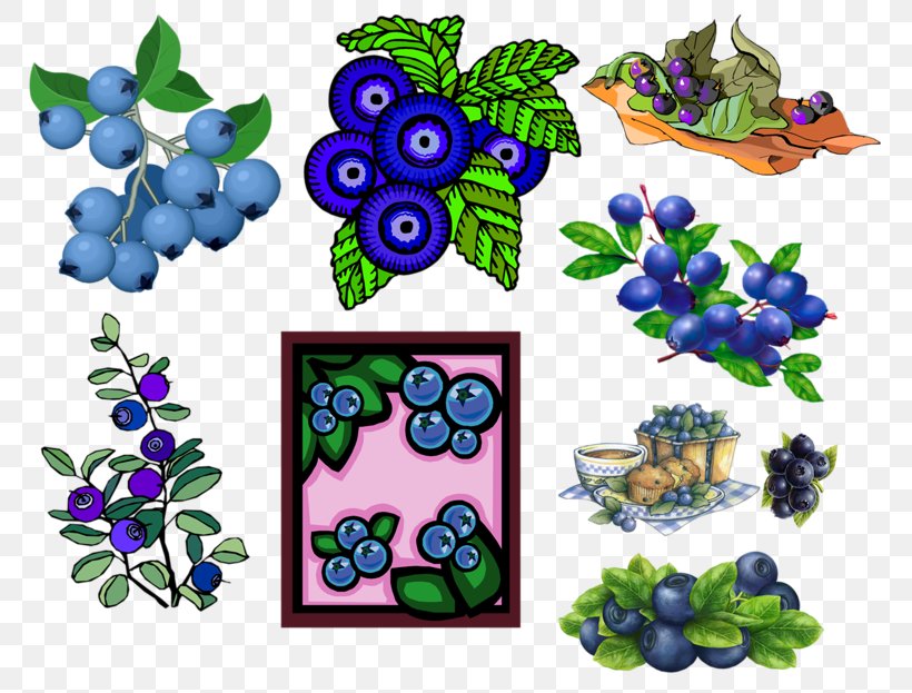 Bilberry Blueberry Clip Art, PNG, 800x623px, Bilberry, Blueberry, Drawing, European Blueberry, Flora Download Free