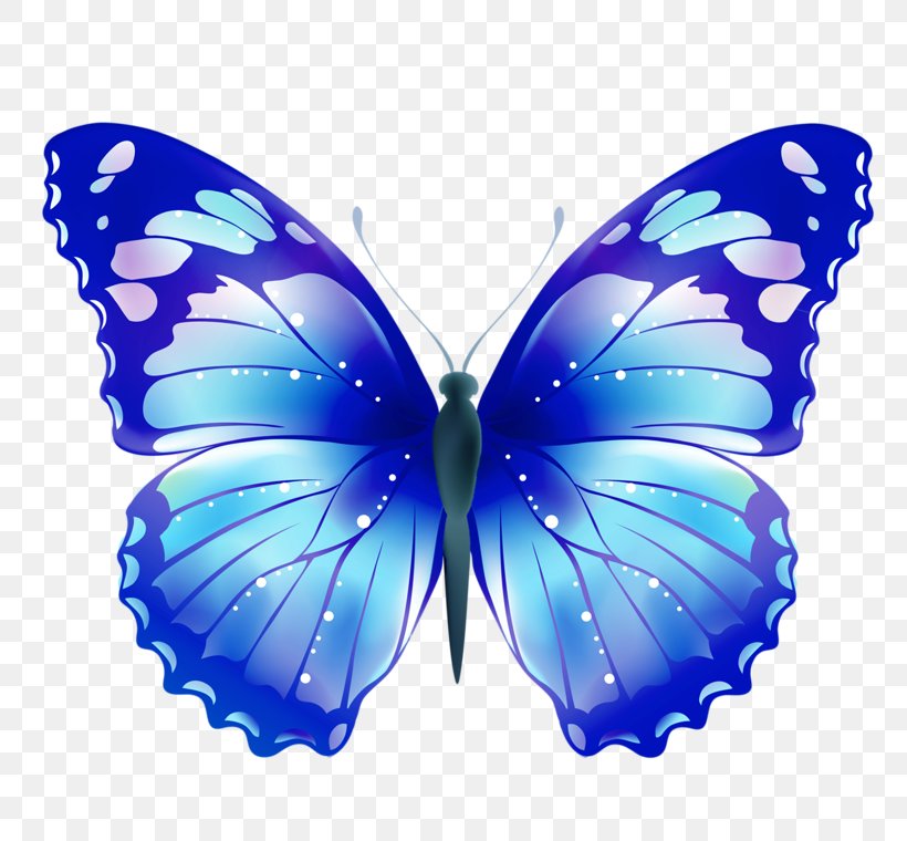Butterfly Desktop Wallpaper Clip Art, PNG, 800x760px, Butterfly, Arthropod, Azure, Blue, Brush Footed Butterfly Download Free