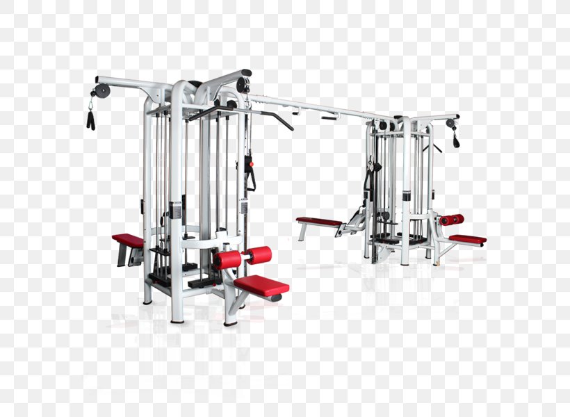 Fitness Centre Exercise Equipment CrossFit Physical Fitness, PNG, 600x600px, Fitness Centre, Bodybuilding, Crossfit, Dip Bar, Exercise Download Free