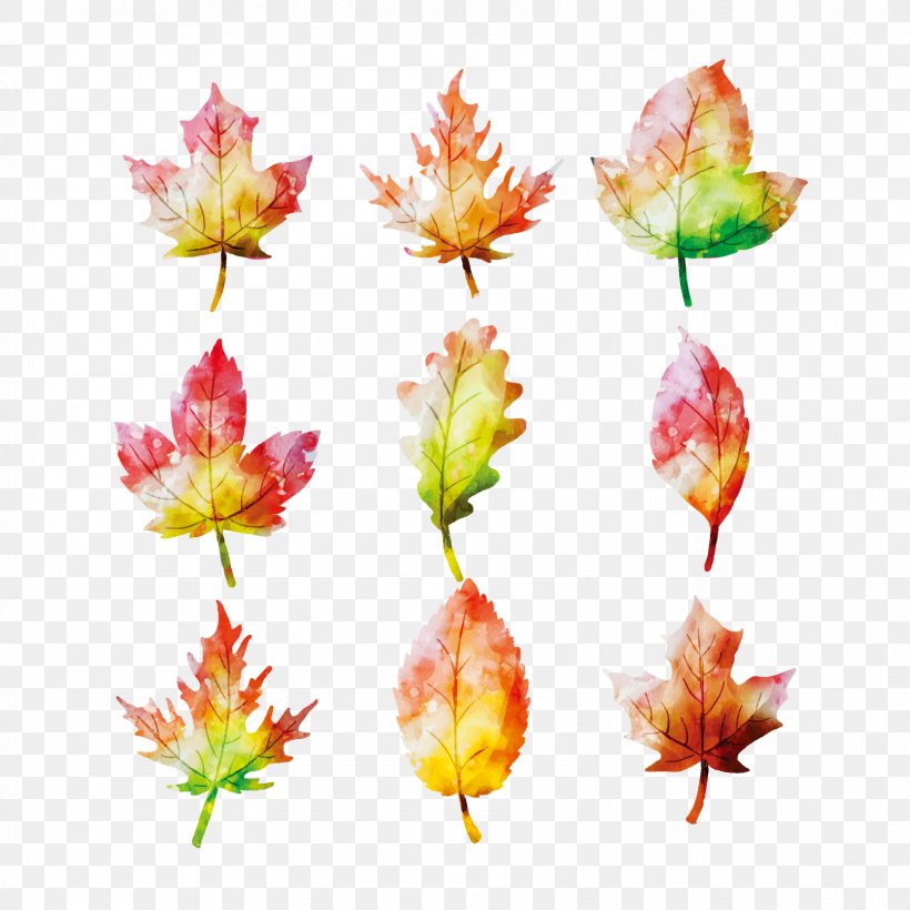 Maple Leaf Watercolor Painting Autumn, PNG, 1667x1667px, Maple Leaf, Autumn, Floral Design, Flower, Flowering Plant Download Free