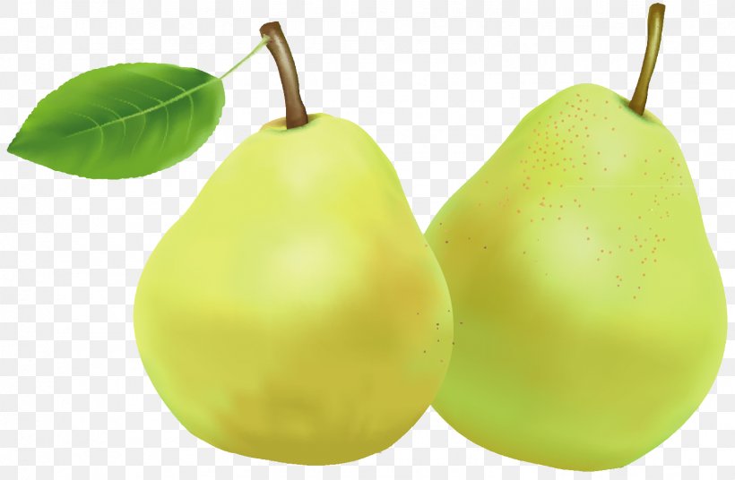 Pear Food Fruit, PNG, 1573x1030px, Pear, Cdr, Filename Extension, Food, Fruit Download Free