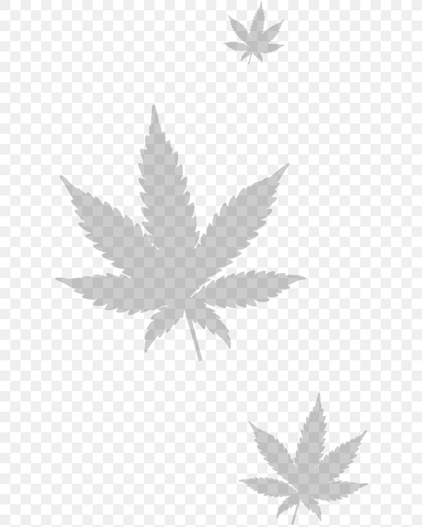 Cannabis Sativa Legality Of Cannabis Medical Cannabis Drug, PNG, 630x1024px, Cannabis, Black And White, Blunt, Branch, Cannabidiol Download Free