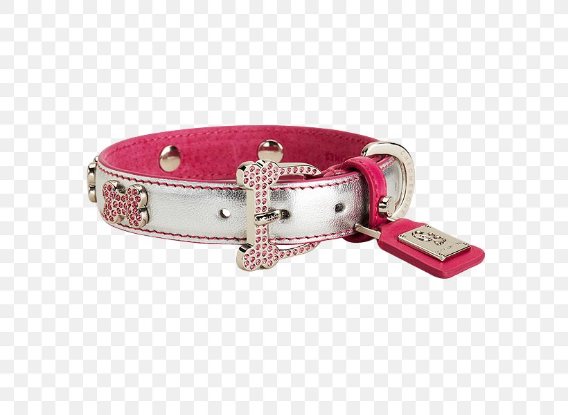 Belt Dog Collar Buckle, PNG, 600x600px, Belt, Belt Buckle, Belt Buckles, Buckle, Collar Download Free