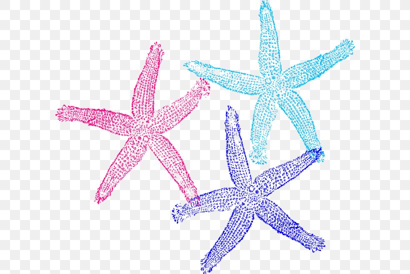 Coral Starfish Clip Art, PNG, 600x548px, Coral, Animal, Color, Coral Reef, Coral Reef Fish Download Free