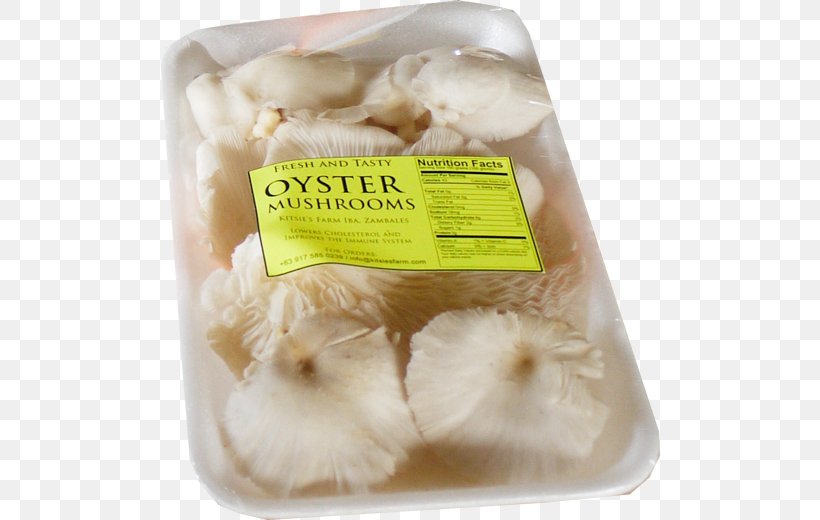 Oyster Mushroom Punjabi Cuisine Vegetarian Cuisine, PNG, 500x520px, Oyster, Animal Fat, Common Mushroom, Cooking, Edible Mushroom Download Free
