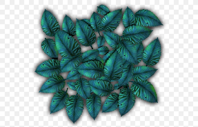 Turquoise Leaf, PNG, 568x525px, Turquoise, Leaf Download Free