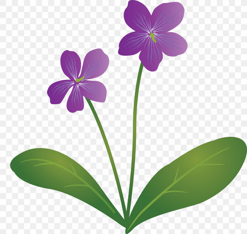 Violet Flower, PNG, 3000x2841px, Violet Flower, Biology, Flora, Herbaceous Plant, Petal Download Free