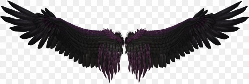 Wing Wing, PNG, 978x331px, Wing, Costume Accessory, Drawing Download Free