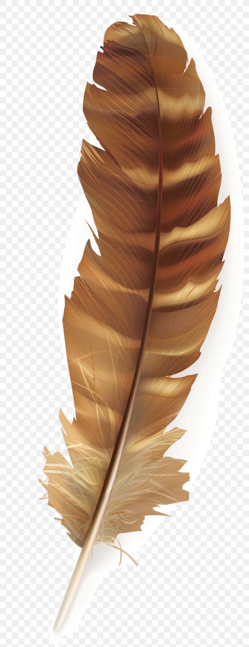Bird Feather Poster, PNG, 857x2225px, Bird, Feather, Feathered Dinosaur, Gratis, Green Download Free