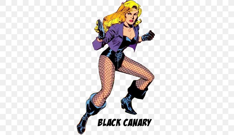 Black Canary Arrow Batman Flash Comics, PNG, 281x474px, Black Canary, Action Figure, Batman, Batman Battle For The Cowl, Cartoon Download Free