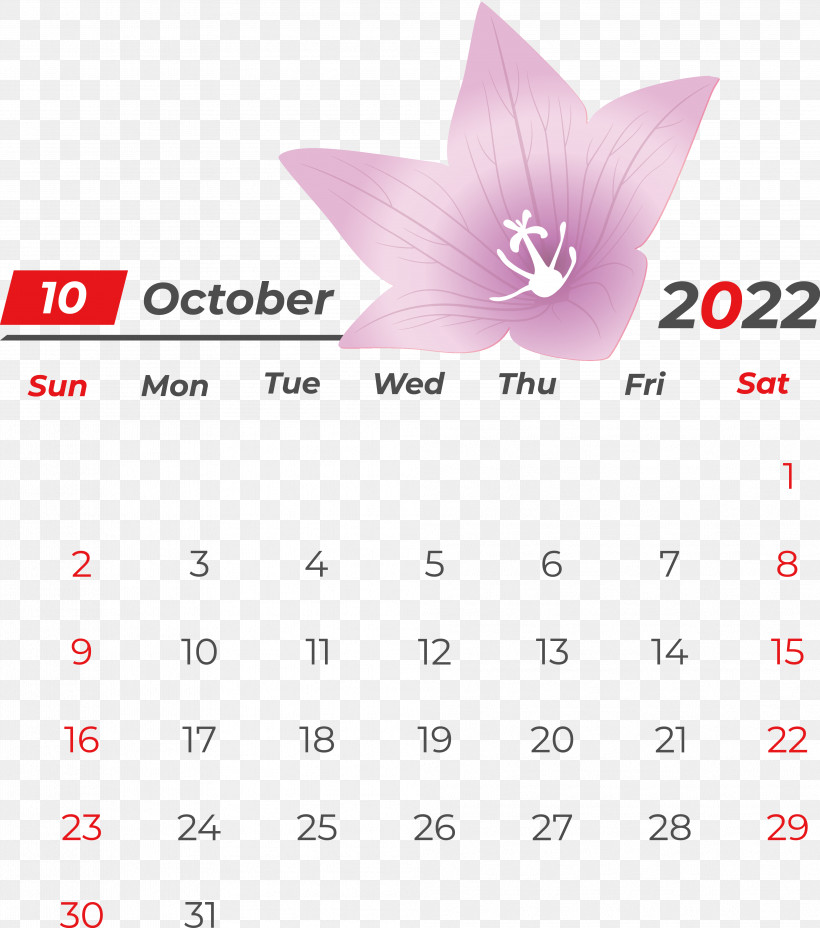 Calendar Line Font Petal Meter, PNG, 3974x4501px, Calendar, Geometry, Line, Mathematics, Meter Download Free