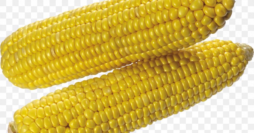 Corn On The Cob Sweet Corn Dent Corn Candy Corn Vegetarian Cuisine, PNG, 1200x630px, Corn On The Cob, Candy Corn, Cereal, Corn, Corn Kernel Download Free