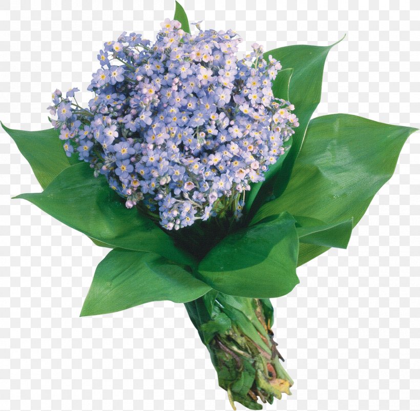 Flower Bouquet Scorpion Grasses Garden Roses Blue, PNG, 1200x1174px, Flower Bouquet, Anniversary, Blue, Color, Cornales Download Free