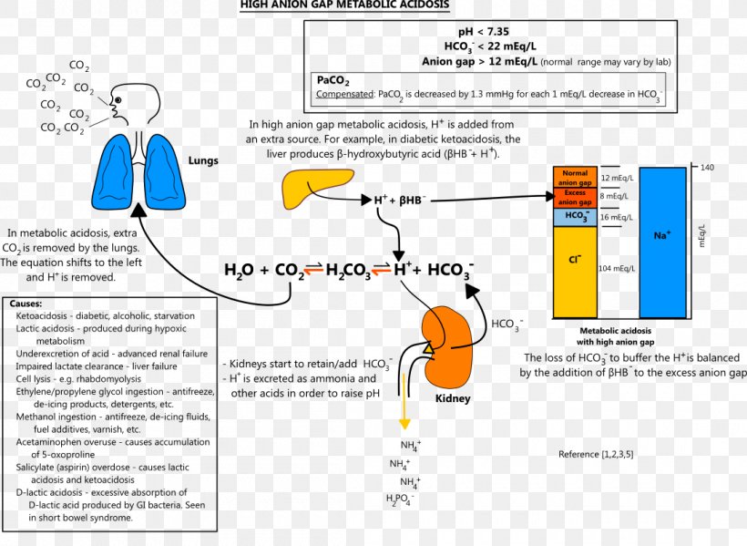 High Anion Gap Metabolic Acidosis Metabolic Alkalosis, PNG, 1100x804px, Anion Gap, Acidosis, Acute Kidney Failure, Area, Diagram Download Free