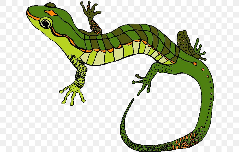 Lizard 两栖爬行 Clip Art, PNG, 650x521px, Lizard, Amphibian, Animal, Animal Figure, Art Download Free