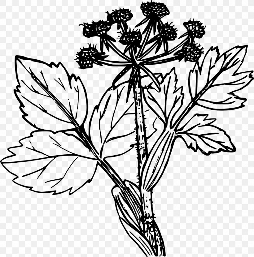 Cattle Plant Drawing Line Art Clip Art, PNG, 986x1000px, Cattle, Artwork, Black And White, Branch, Color Download Free