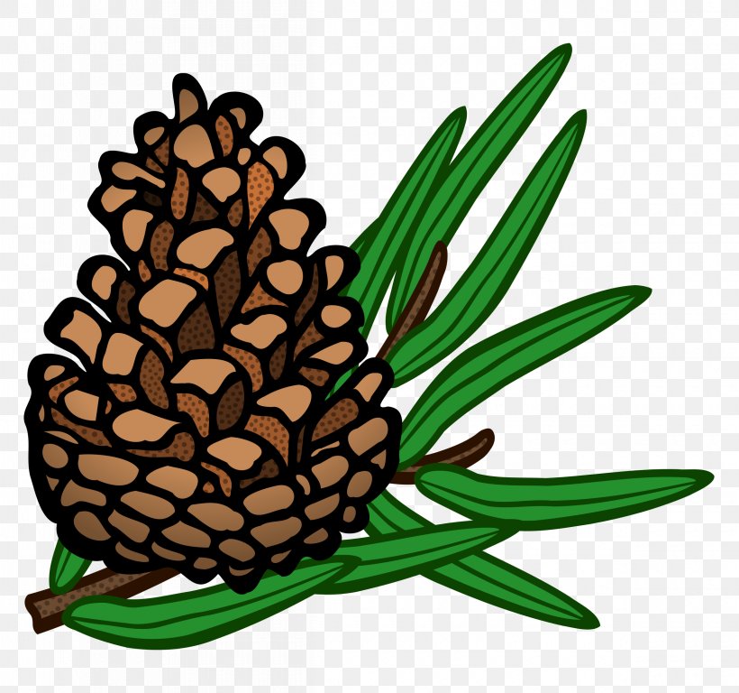 Conifer Cone Pine Clip Art, PNG, 2400x2250px, Conifer Cone, Ananas, Commodity, Cone, Conifer Download Free