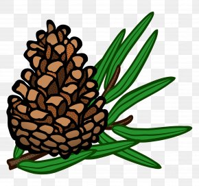 Conifer Cone Pine Clip Art, PNG, 4855x5000px, Christmas, Christmas Card ...