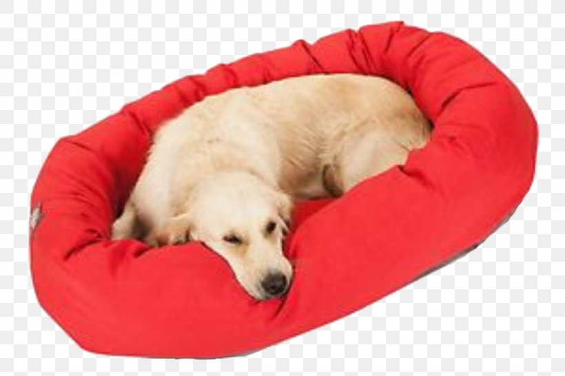 Golden Retriever Labrador Retriever Puppy Cat Dog Breed, PNG, 1024x683px, Golden Retriever, Breed, Carnivoran, Cat, Companion Dog Download Free
