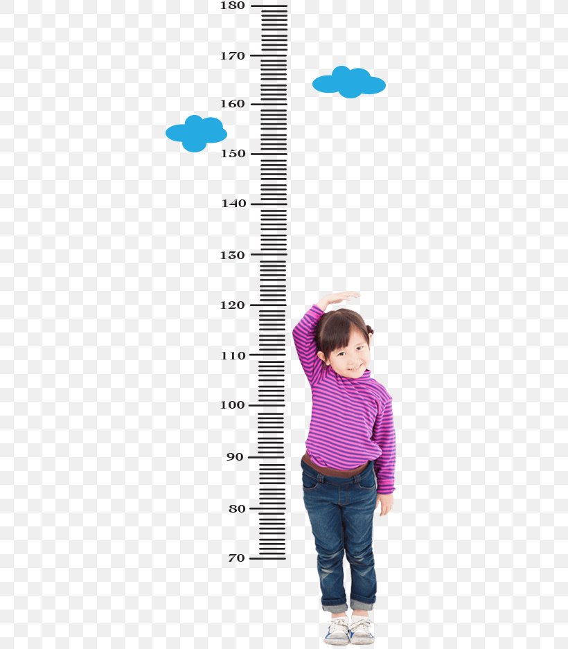 Toddler Human Height Growth Chart Child Measurement, PNG, 345x937px, Watercolor, Cartoon, Flower, Frame, Heart Download Free