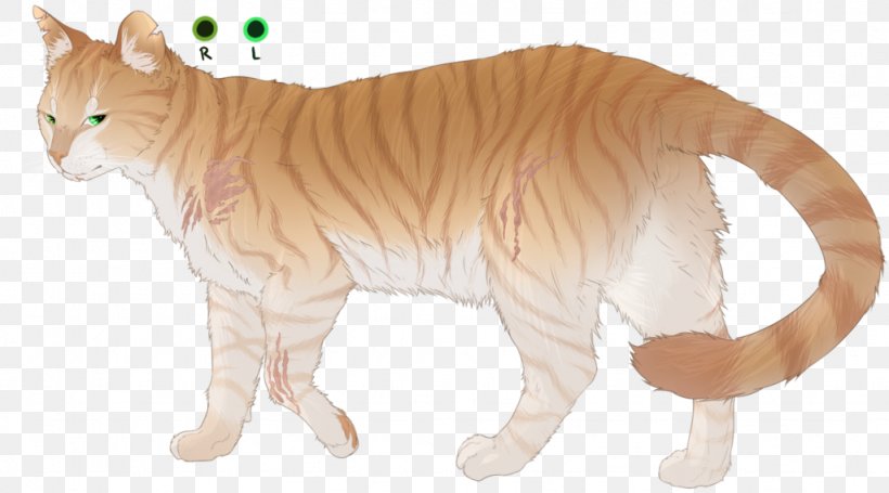 Whiskers Tiger Lion Wildcat, PNG, 1024x569px, Whiskers, Animal, Animal Figure, Big Cats, Carnivoran Download Free