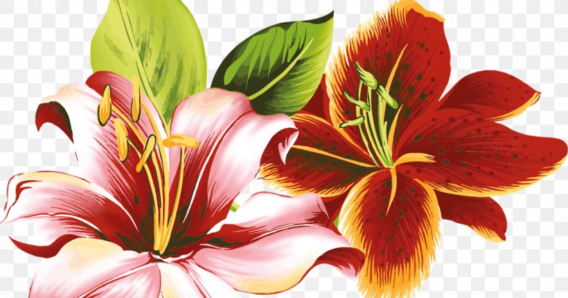 Flower Orange Day-lily Coloring Book Drawing Child, PNG, 1200x630px, Flower, Alstroemeriaceae, Child, Color, Coloring Book Download Free