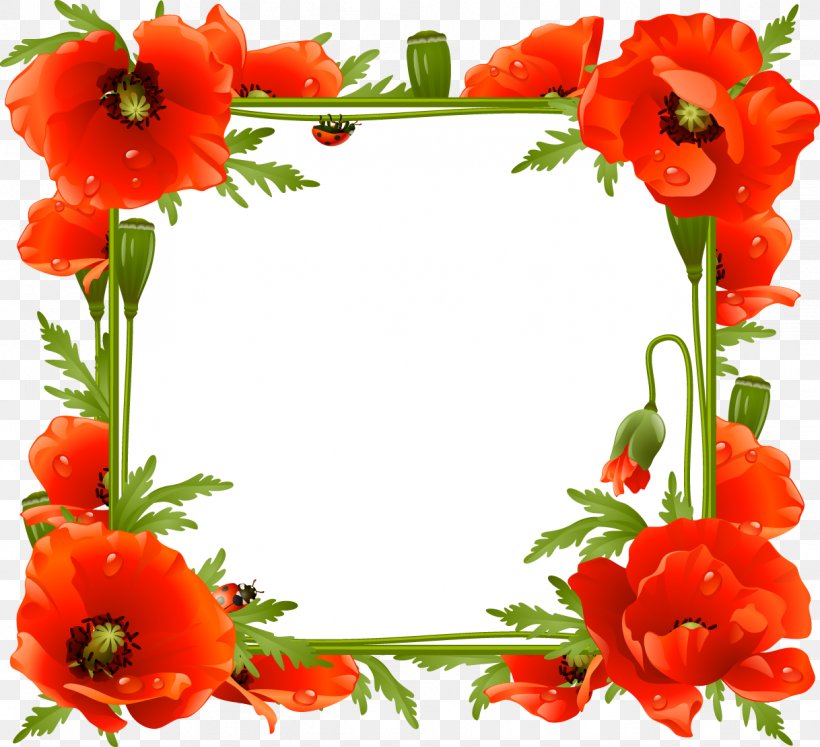 Picture Frames Borders And Frames Photography Clip Art, PNG, 1218x1111px, Picture Frames, Borders And Frames, Coquelicot, Cut Flowers, Decoupage Download Free