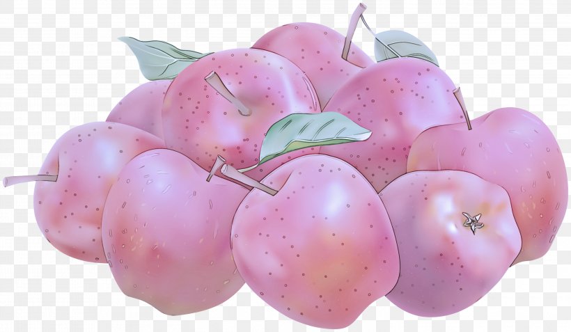 Pink Fruit Plant Food Flower, PNG, 2999x1746px, Pink, Flower, Food, Fruit, Plant Download Free