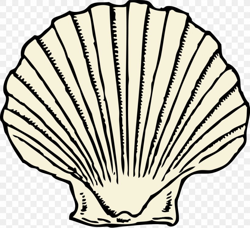 Seashell Clam Invertebrate Clip Art, PNG, 900x823px, Seashell, Art, Artwork, Black And White, Clam Download Free