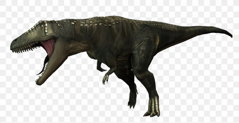 Tyrannosaurus Carcharodontosaurus Giganotosaurus Spinosaurus Acrocanthosaurus, PNG, 986x508px, Tyrannosaurus, Acrocanthosaurus, Animal Figure, Ankylosaurus, Carcharodontosaurus Download Free