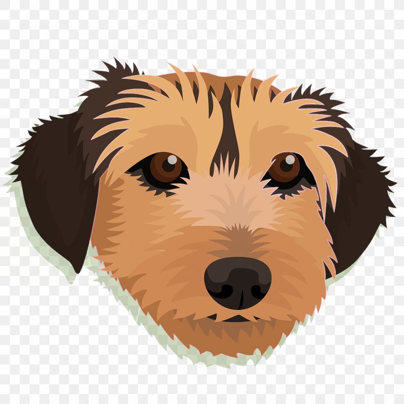 Dog Breed Puppy Retriever Whiskers, PNG, 1119x1119px, Dog Breed, Breed, Carnivoran, Crossbreed, Dog Download Free