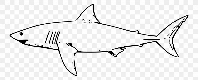 Great White Shark Shark Jaws Drawing Clip Art, PNG, 2555x1036px, Shark, Artwork, Black And White, Carcharodon, Cartilaginous Fish Download Free