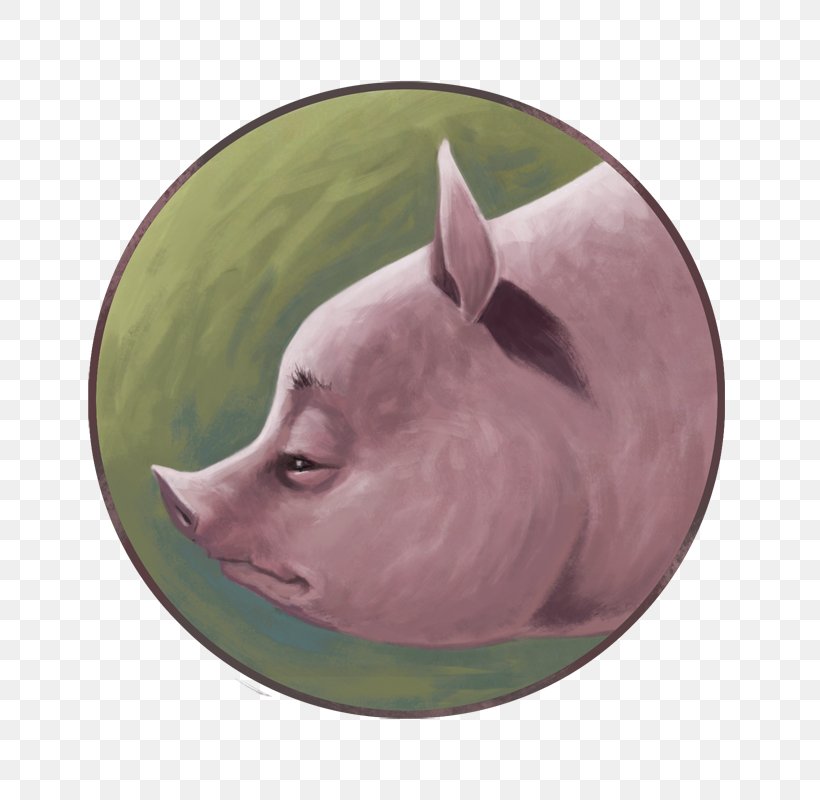 Pig Snout, PNG, 781x800px, Pig, Livestock, Pig Like Mammal, Snout Download Free