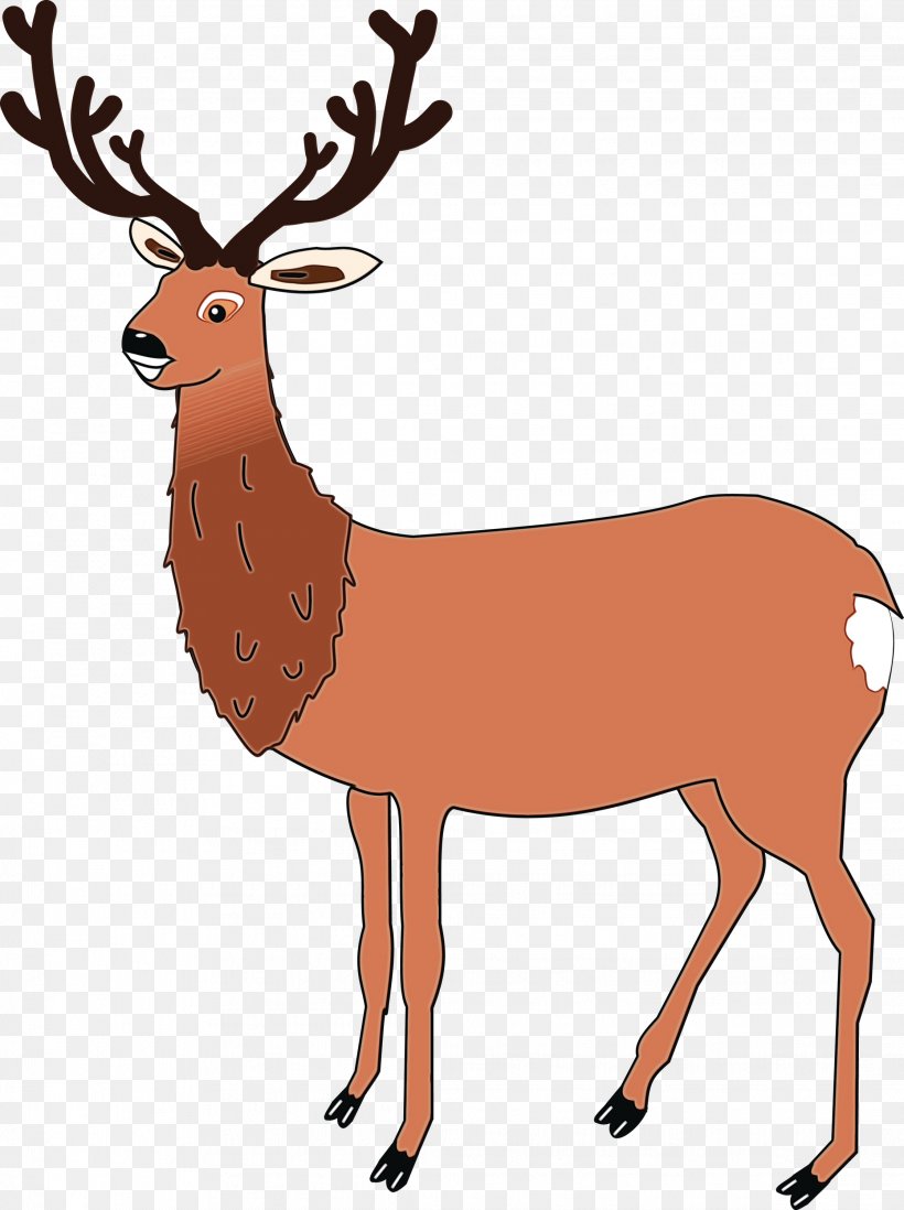Reindeer, PNG, 2238x2999px, Watercolor, Animal, Animal Figure, Antelope, Antler Download Free