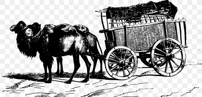 Bactrian Camel Cart Illustration, PNG, 3041x1470px, Bactrian Camel, Black And White, Camel, Camel Like Mammal, Carriage Download Free