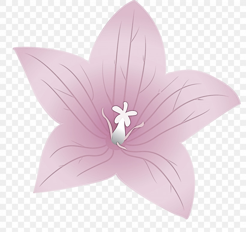 Balloon Flower, PNG, 3000x2833px, Balloon Flower, Flora, Flower, Lilac M, Petal Download Free
