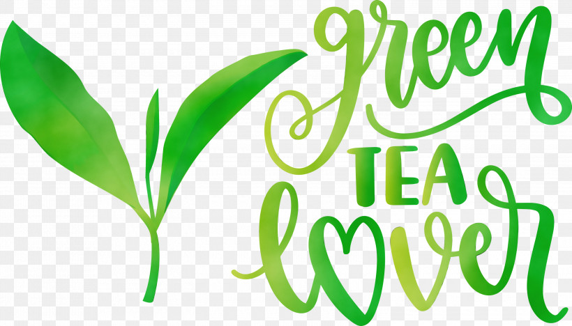 Leaf Meter Logo Plant Stem Grasses, PNG, 3000x1714px, Tea, Commodity, Grasses, Herbal Medicine, Leaf Download Free