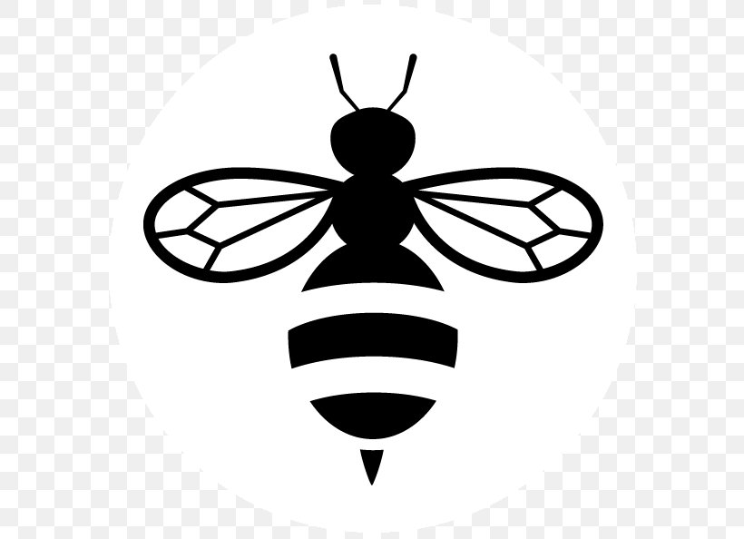 European Dark Bee Clip Art, PNG, 592x594px, Bee, Beehive, Blackandwhite, Bumblebee, European Dark Bee Download Free