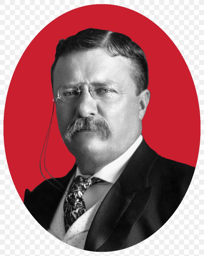 The Presidency Of Theodore Roosevelt United States Of America Assassination Of William McKinley President Of The United States, PNG, 935x1170px, Theodore Roosevelt, Author, Beard, Chin, Elder Download Free