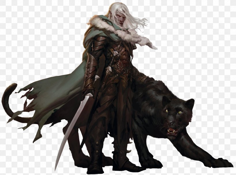 Dungeons & Dragons The Companions: The Sundering The Legacy Drizzt Do'Urden House Do'Urden, PNG, 1536x1136px, Dungeons Dragons, Book, Dark Elf Trilogy, Dark Elves In Fiction, Drow Download Free