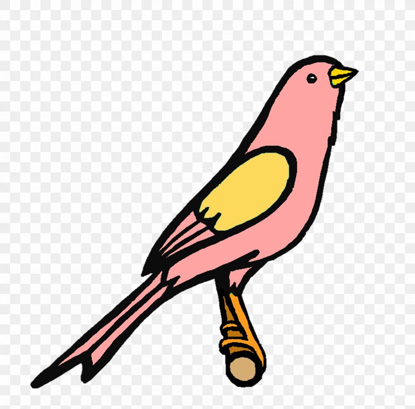 Finches Beak Clip Art, PNG, 1280x1260px, Finches, Artwork, Beak, Bird, Fauna Download Free