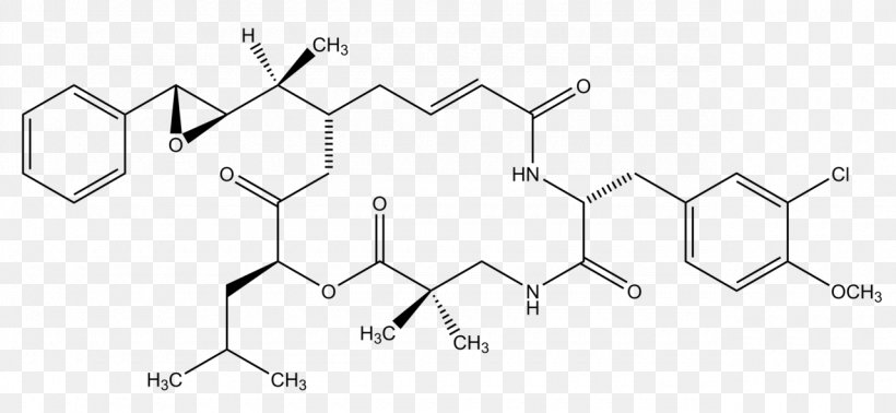 Molecule Chemistry White Reactivity Angle, PNG, 1280x591px, 18th Century, Molecule, Area, Auto Part, Black And White Download Free