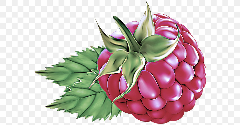 Natural Foods Pink Plant Leaf Fruit, PNG, 600x428px, Natural Foods, Berry, Food, Fruit, Leaf Download Free
